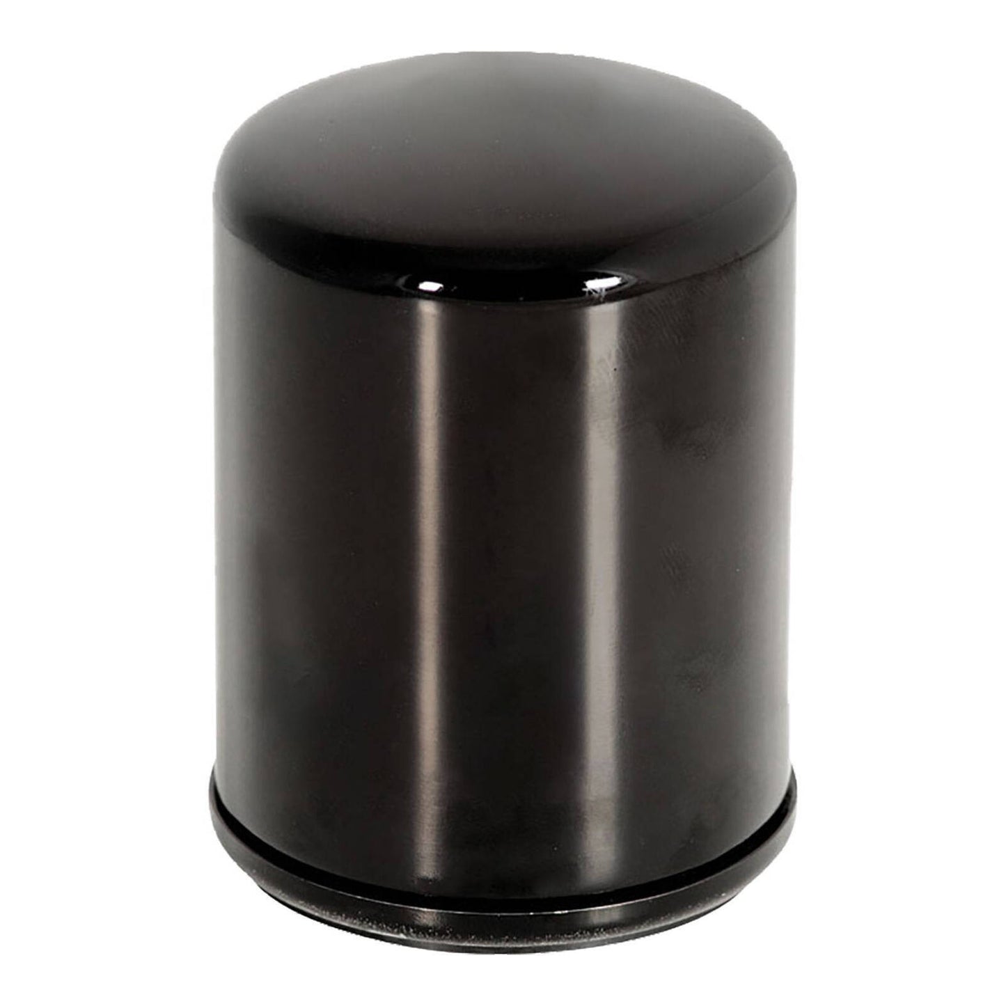 Oil Filter (HF198)