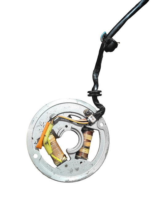 Yamaha AG100 Stator/Pick Up