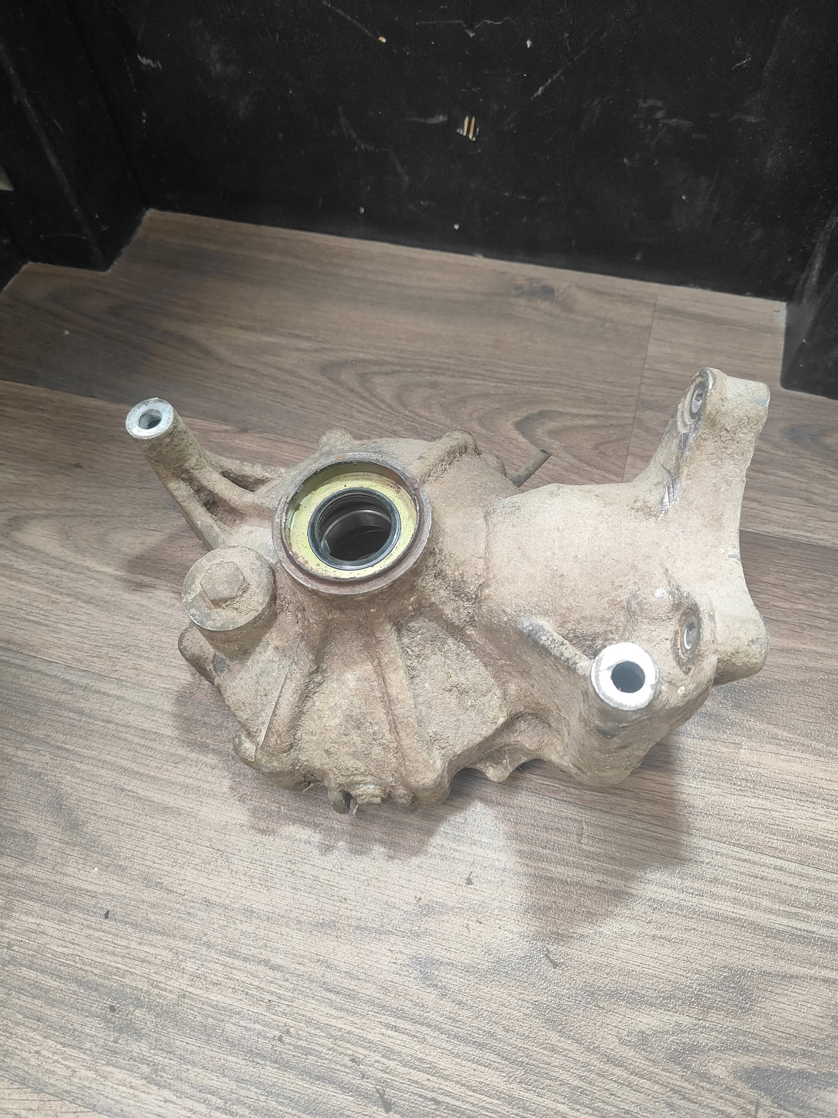 2018 Honda TRX500FM6 Rear Diff Housing