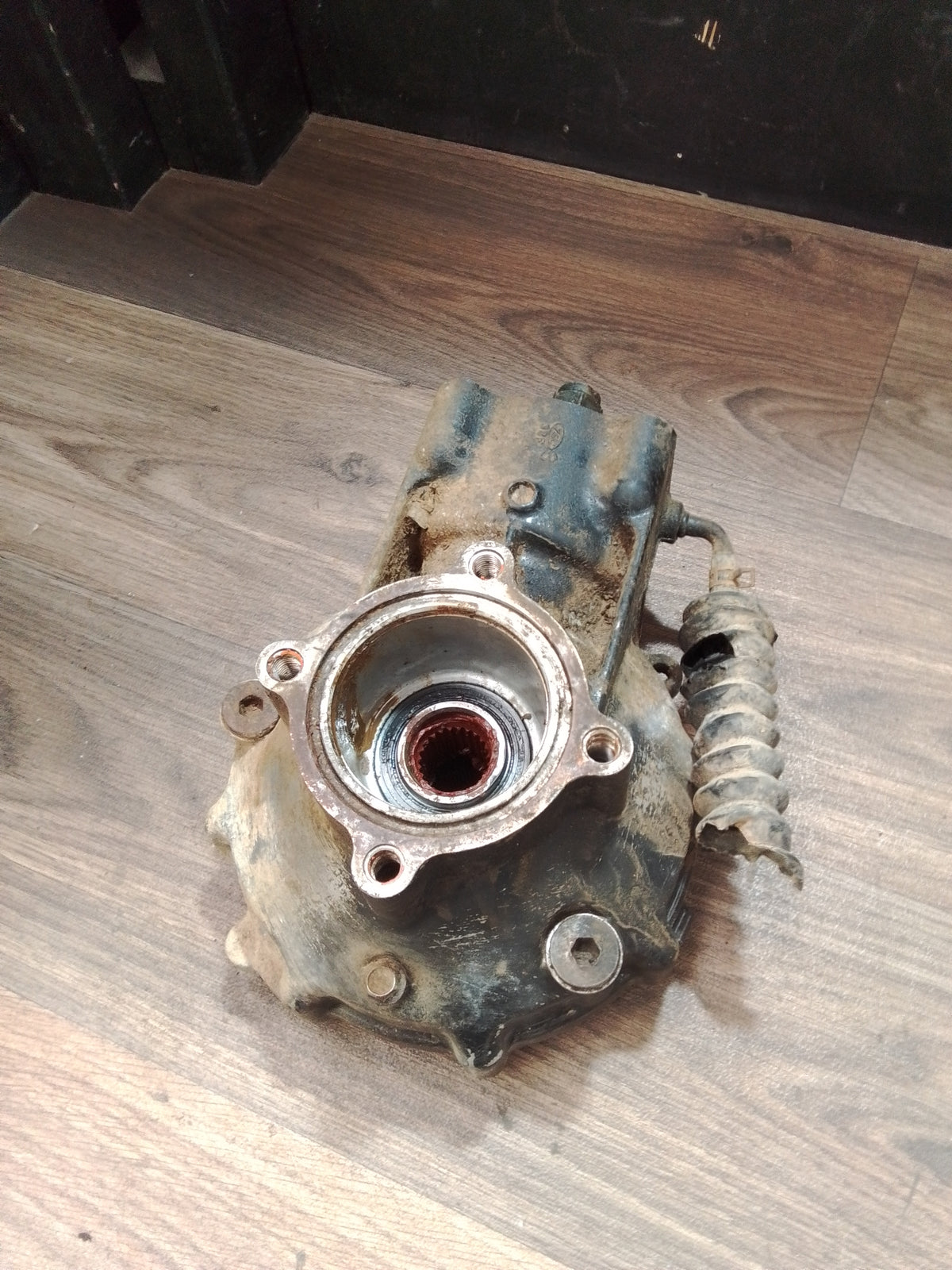 Suzuki KingQuad 400 differential
