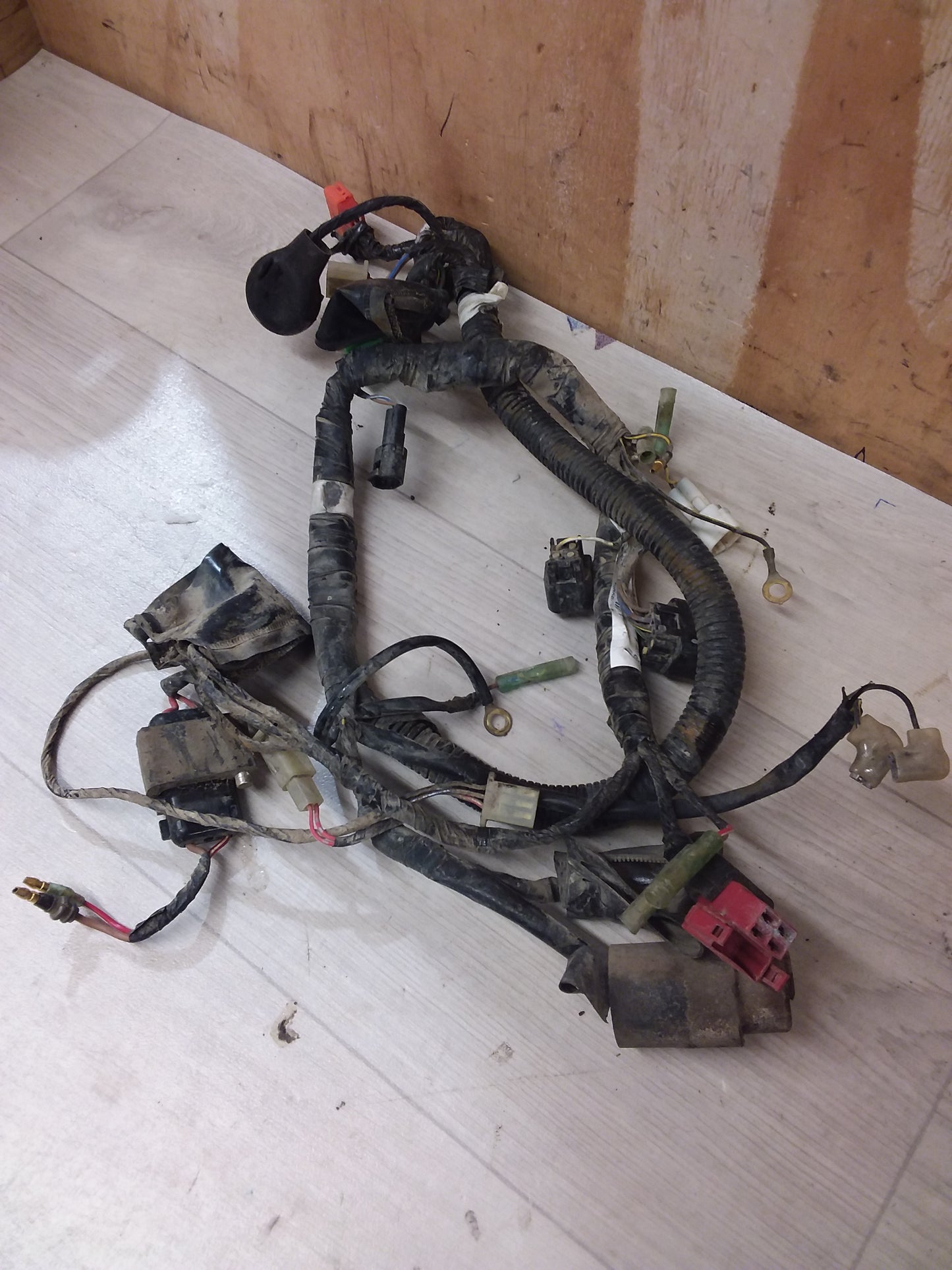 Kawasaki Stockman Wiring Loom