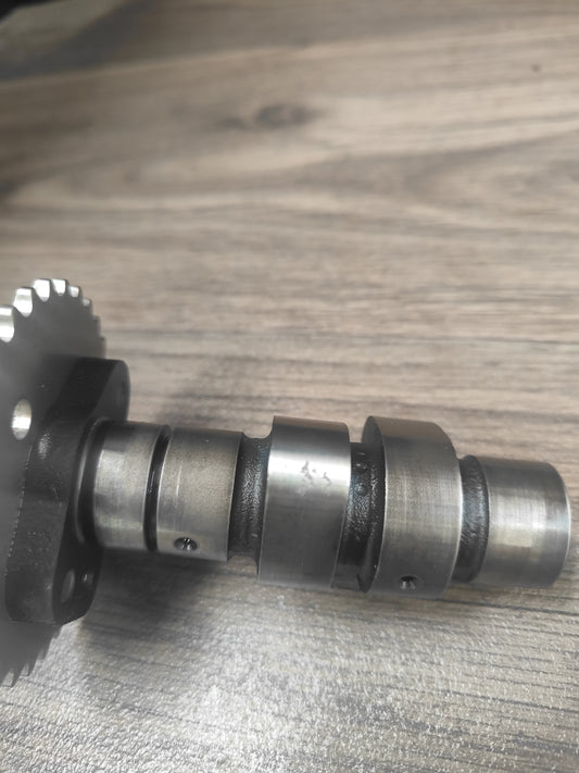Suzuki DR200 Camshaft