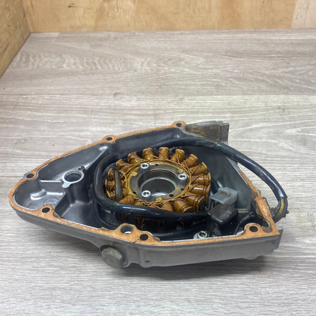 Suzuki DR200 Stator and Side cover