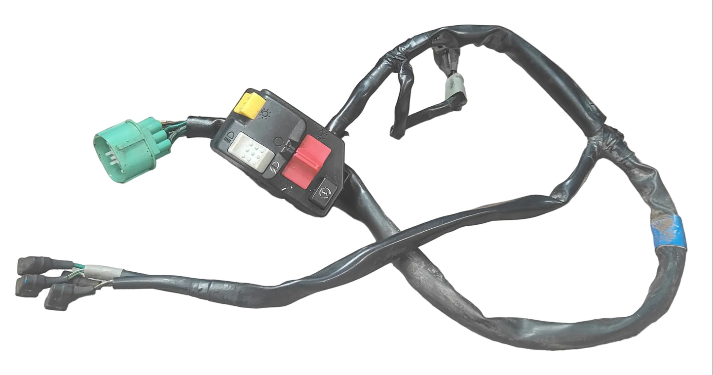 2010 Honda TRX420FM Switch Block