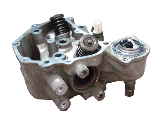 2010 Honda TRX420 Cylinder Head