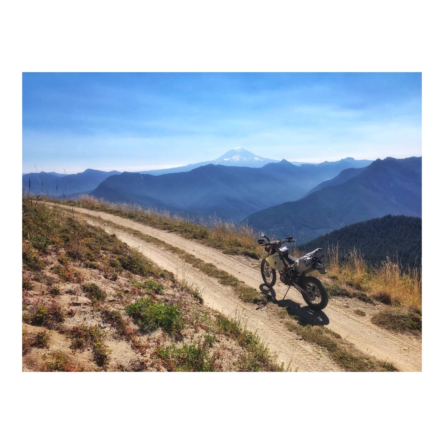 Giant Loop Buckin' Roll Tank Bag - Grey