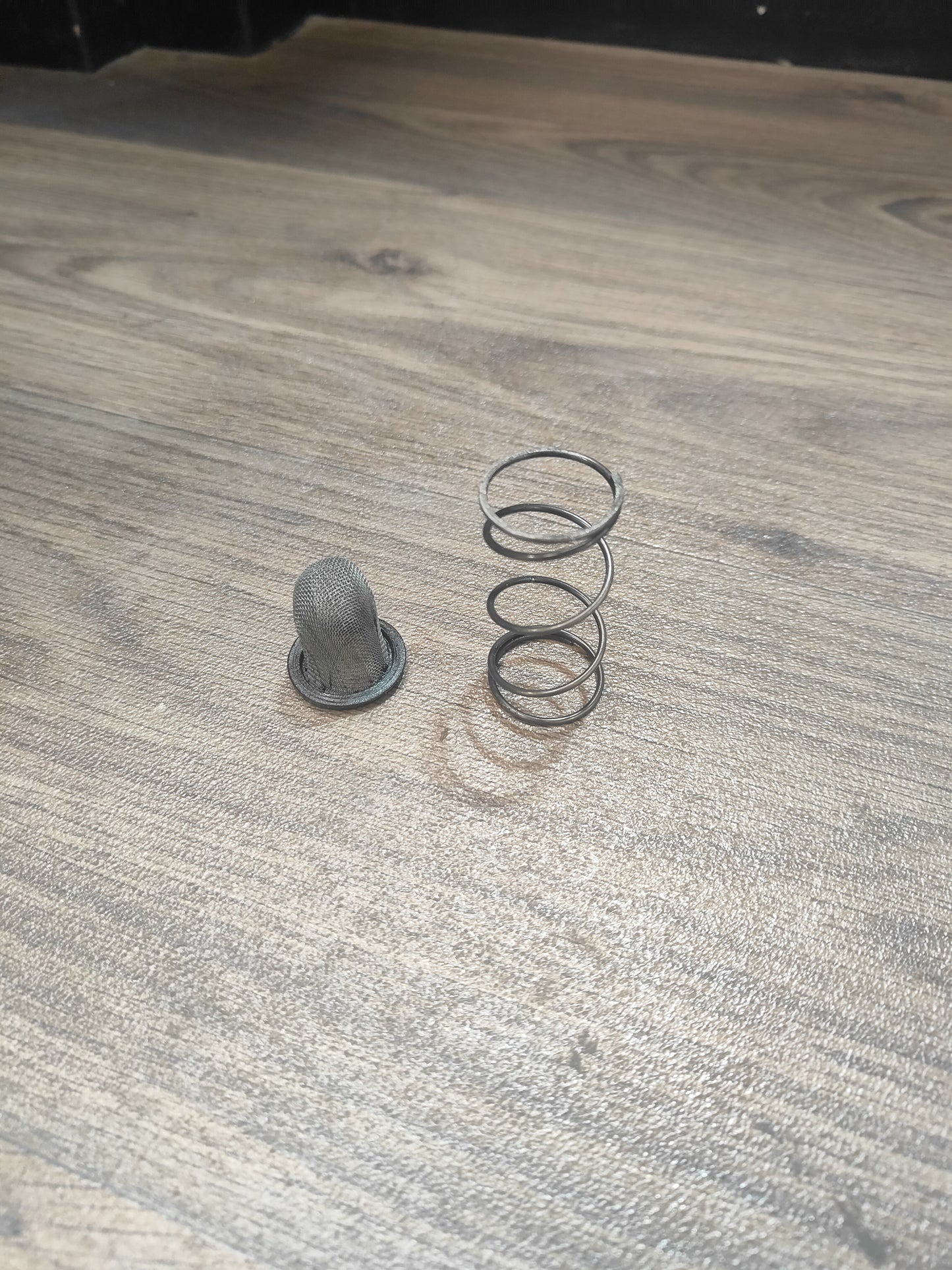Honda CTX200 Drain Screen and Spring