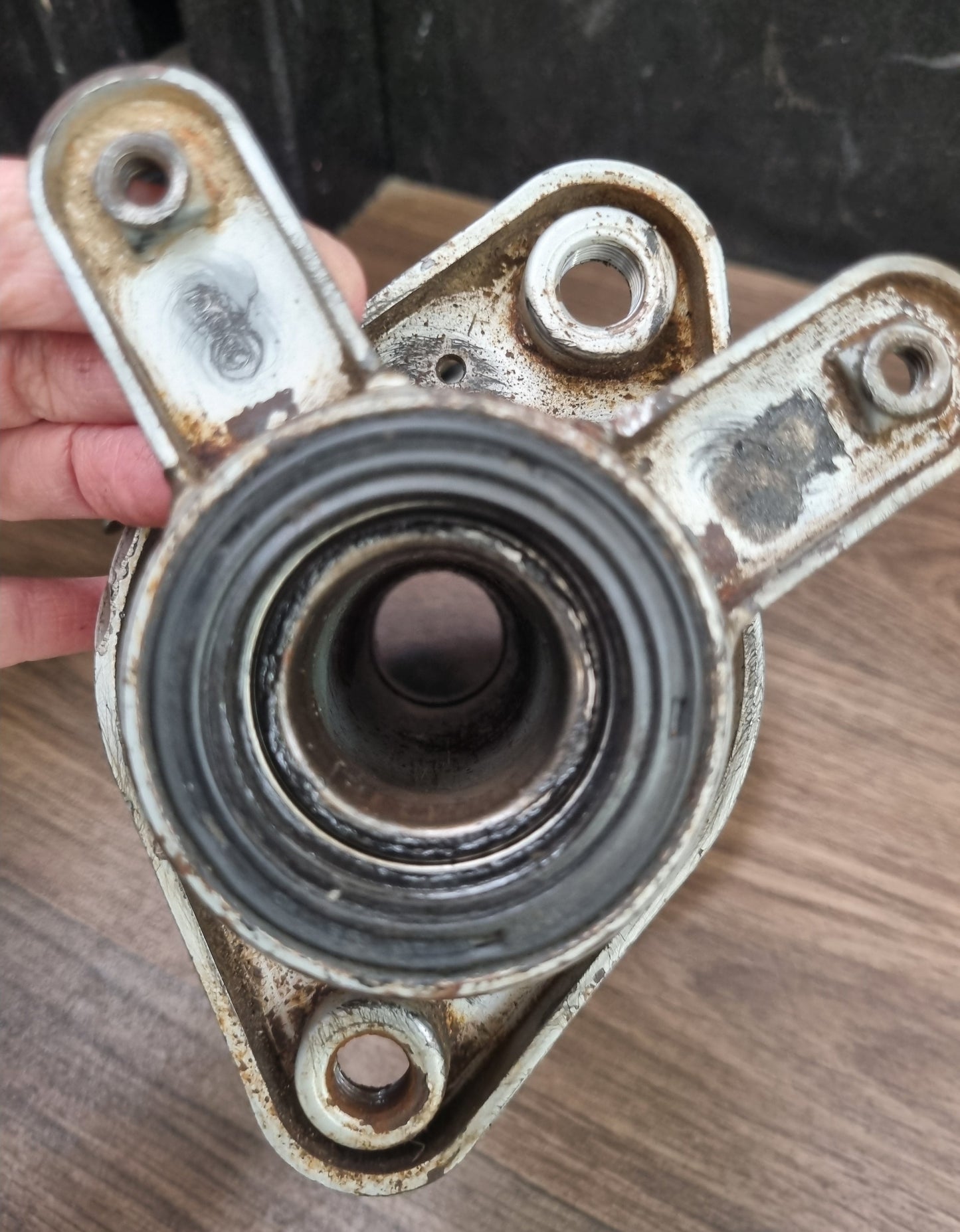 Polaris Outlaw 50 Rear Axle Bearing Housing & Brake Back Plate