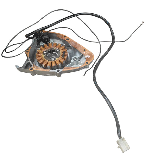 Suzuki DR200 Stator & Side Cover