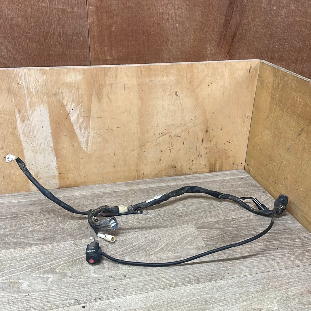 2006 Suzuki RMZ250 Wiring Loom