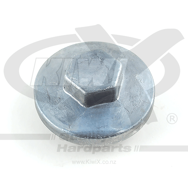 Inspection Cap M30x1.5 17mm