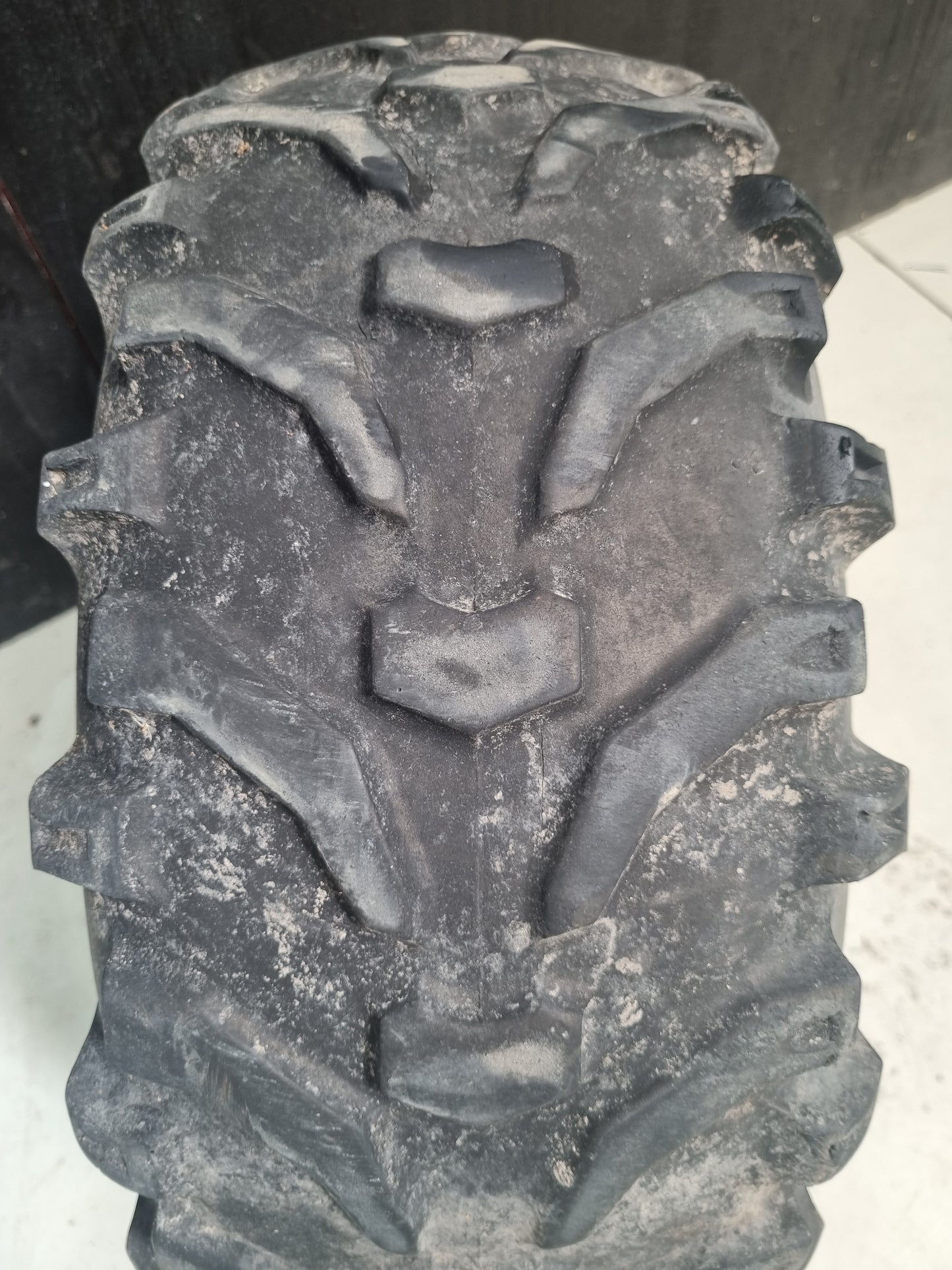 Bear Claw 22/8-10