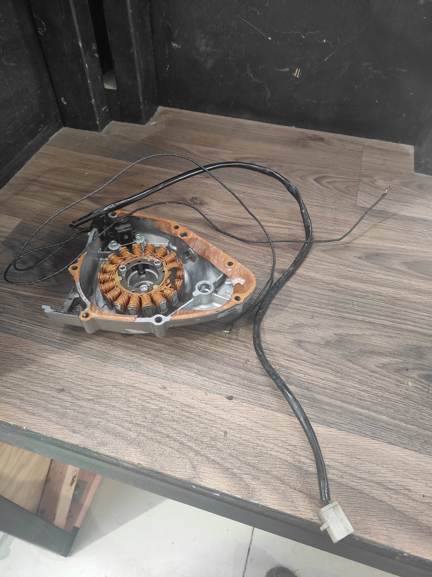 Suzuki DR200 Stator and Side cover