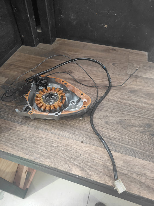 Suzuki DR200 Stator and Side cover