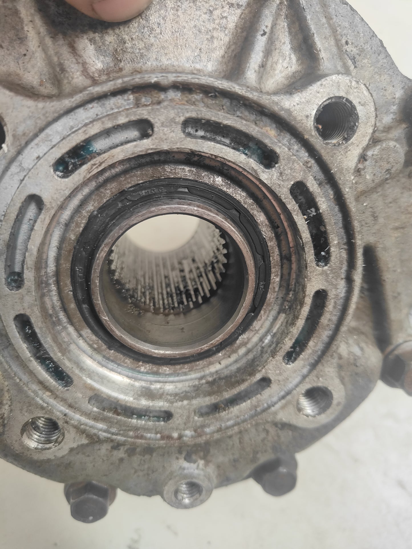 Honda TRX300 Rear Diff