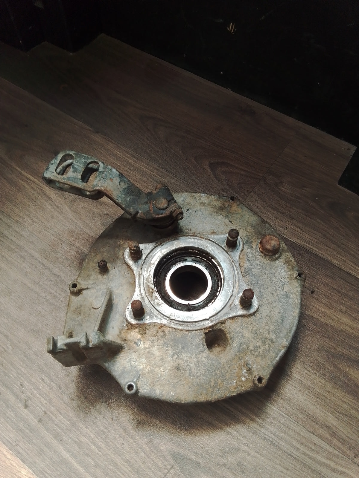 Honda TRX300 Rear Drum Brake Backing Plate