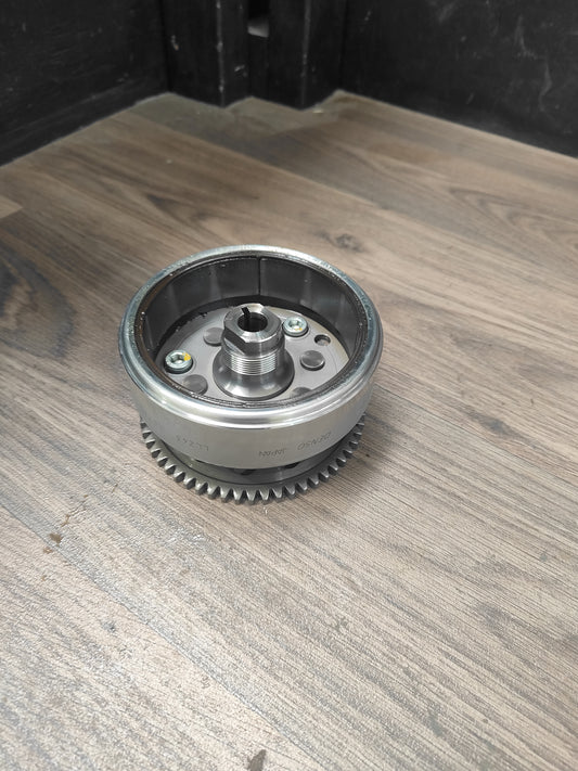 Suzuki DR200 Flywheel and Starter Clutch