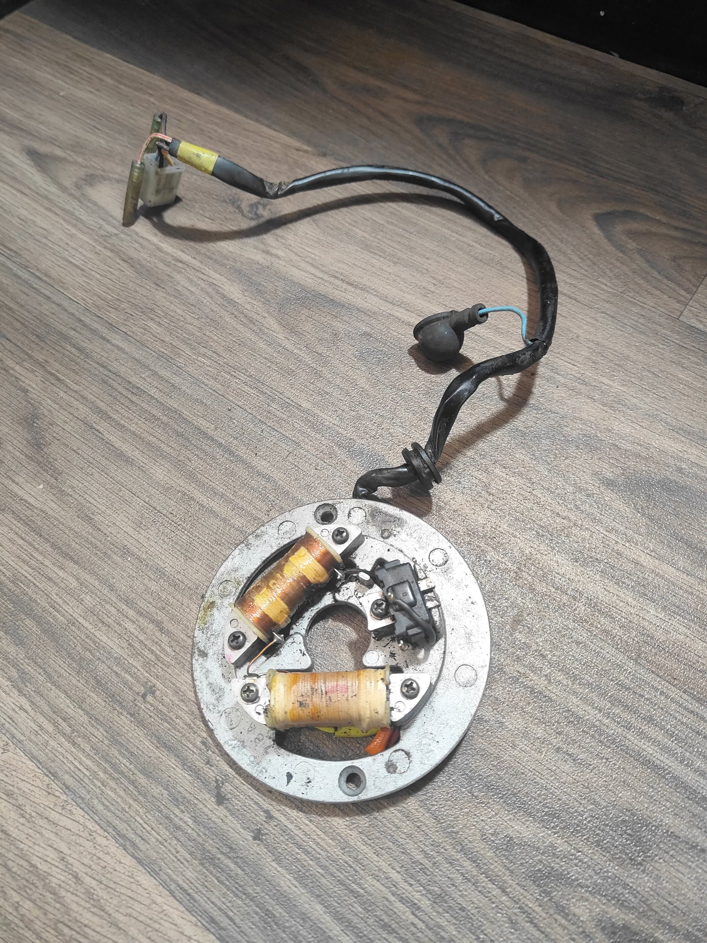 Yamaha AG100 Stator/Pick Up
