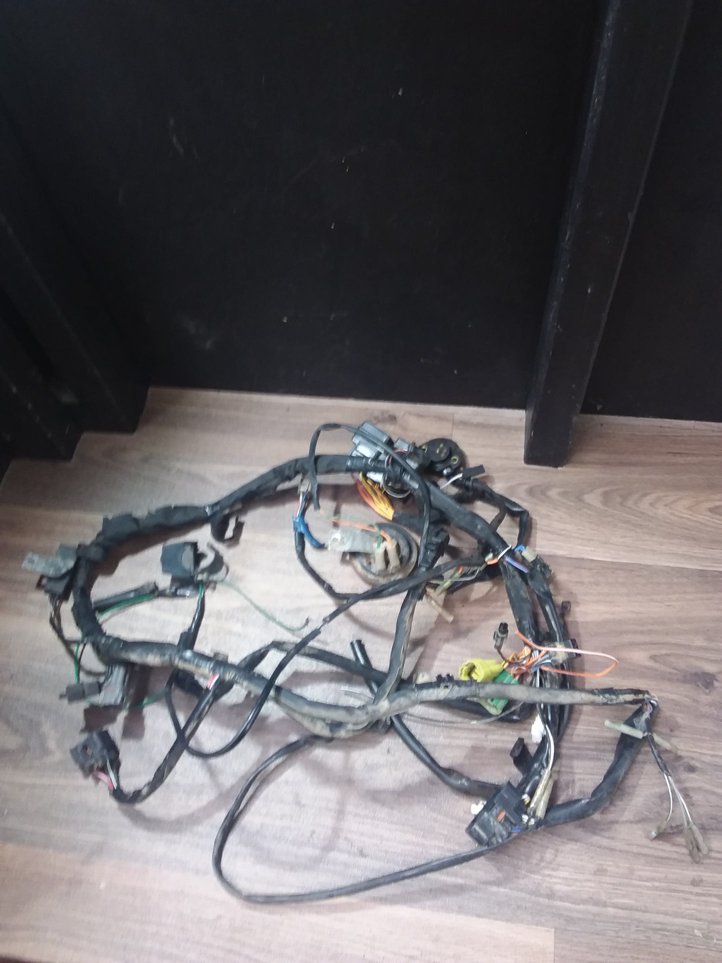 Suzuki LTA 400 Eiger Wiring Loom