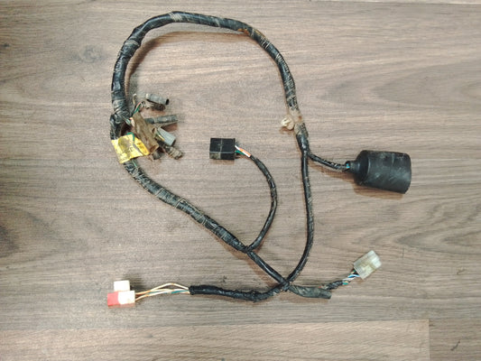 2009 Honda CRF230 wiring loom