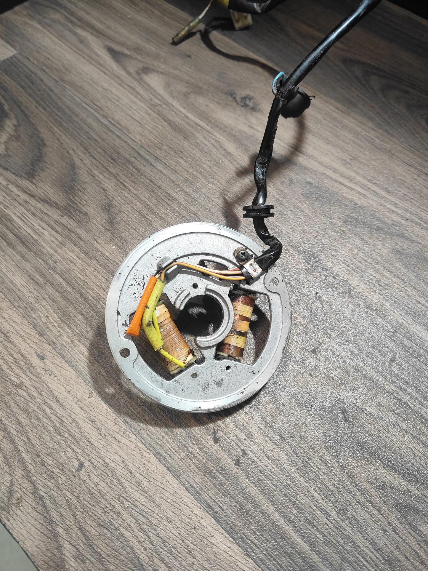 Yamaha AG100 Stator/Pick Up
