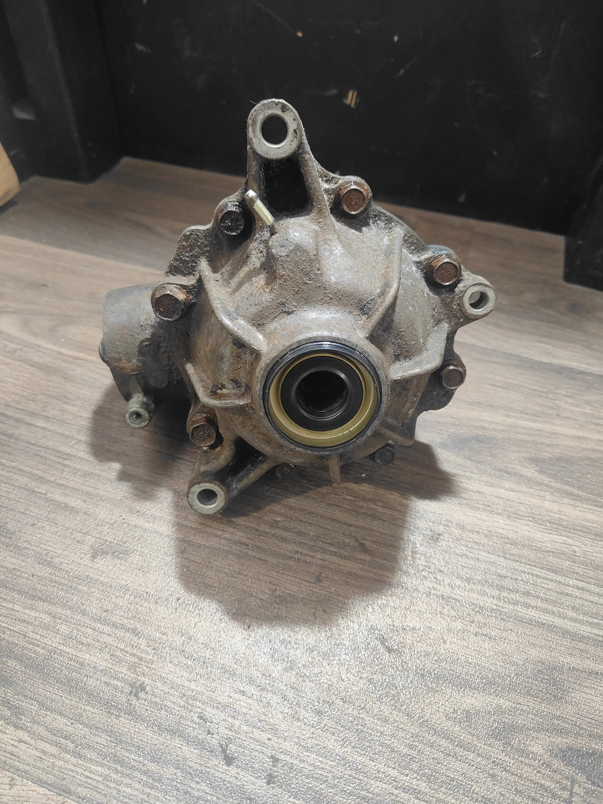Honda TRX300 Front Diff