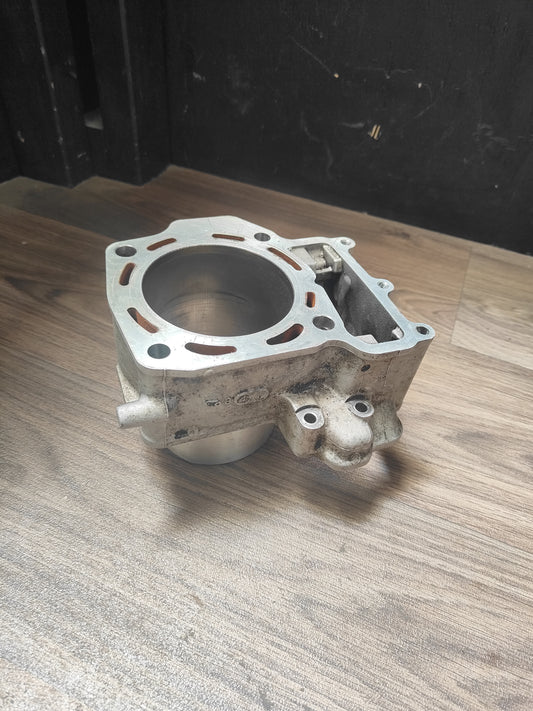 Kawasaki KVF750 Rear Cylinder