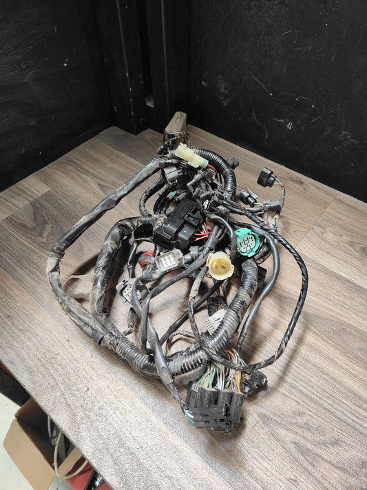 Honda TRX420FM Wiring Loom
