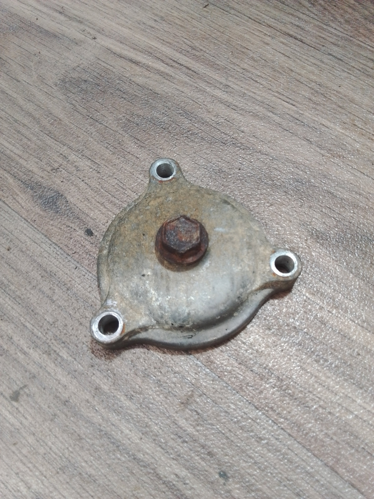 Suzuki LTF250 Oil Filter Cover