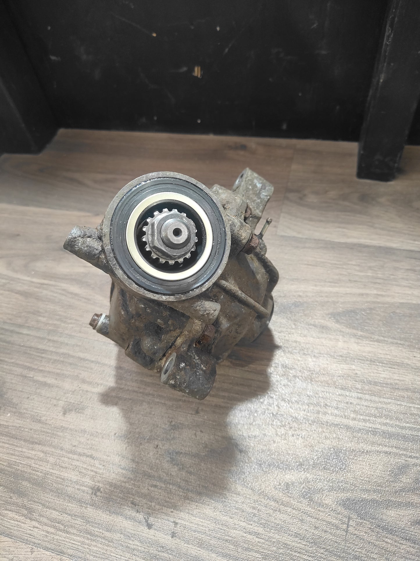 Honda TRX300 Front Diff