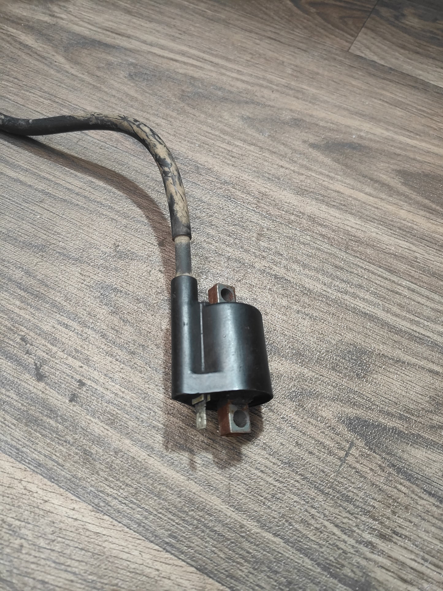 2009 Yamaha TTR110 Ignition Coil
