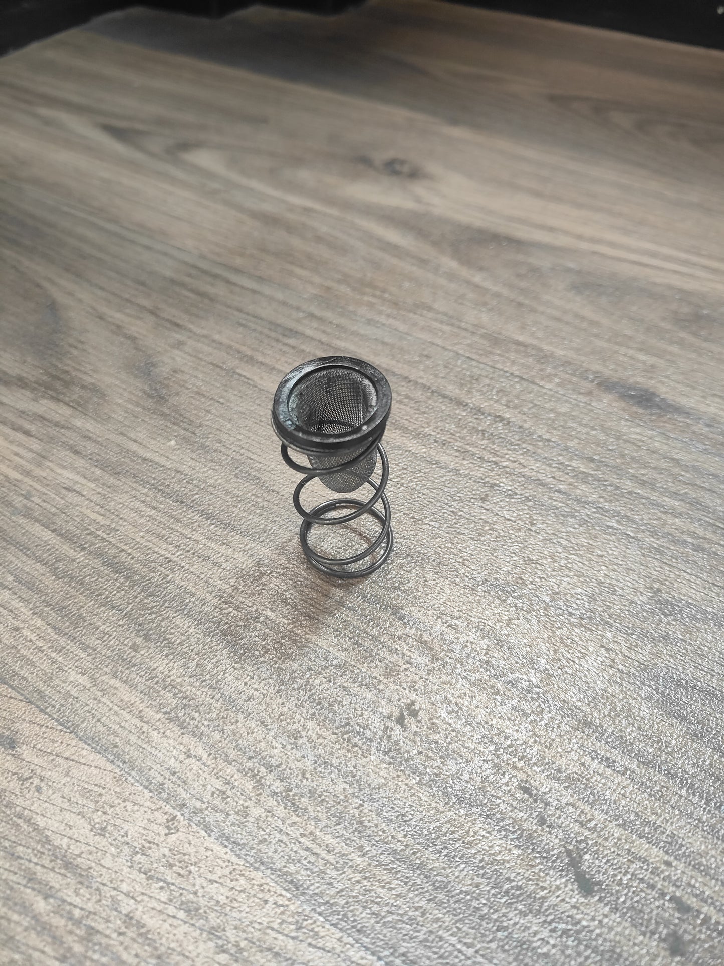 Honda CTX200 Drain Screen and Spring