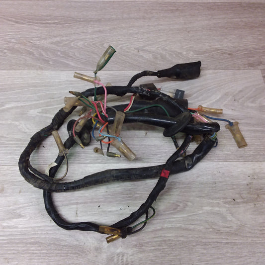 Honda Chaly - Wiring loom