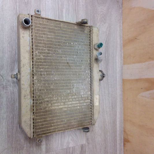 2007 Suzuki Vinson Radiator