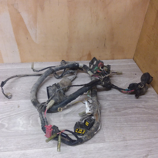 2008 Kawasaki Stockman wiring harness