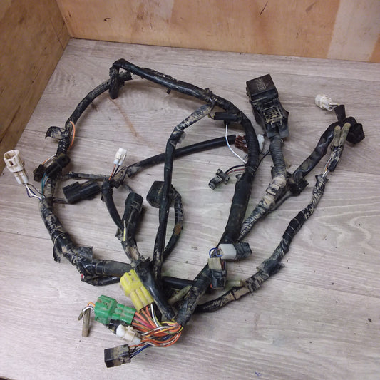 2010 Suzuki LTA400 Kingquad Wiring Loom