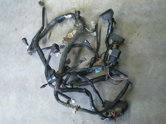 2007 Suzuki LTF500 Vinson Wiring Loom