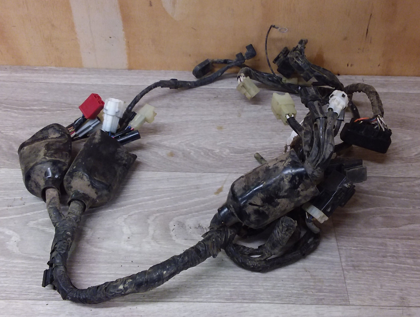 2011 Yamaha XT250 Wiring Harness