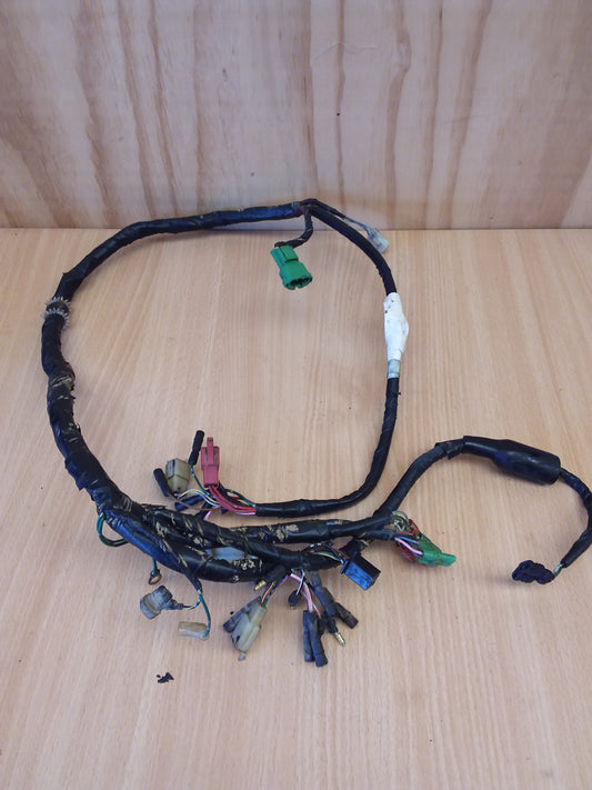 Honda TRX300 Wiring Loom