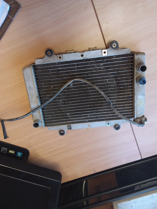 2012 Yamaha YFM450 Grizzly Radiator