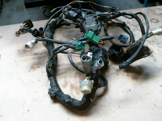 2010 Suzuki LTA450 Kingquad Wiring Loom