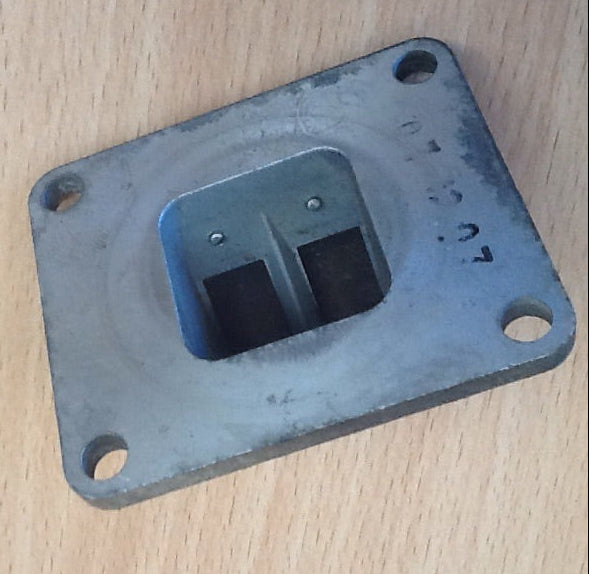 Yamaha AG100 Reed Valve