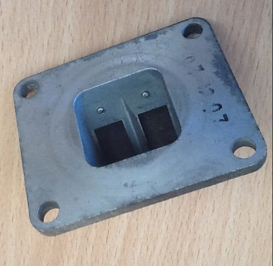 Yamaha AG100 Reed Valve