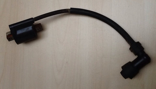 Yamaha TTR50 Ignition Coil