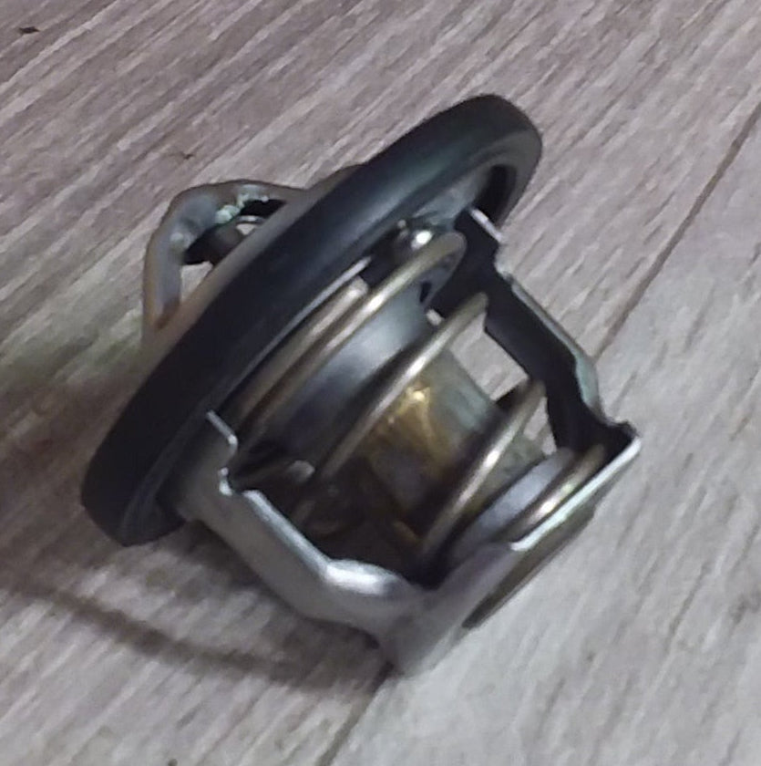 Yamaha YFM660R Raptor Thermostat