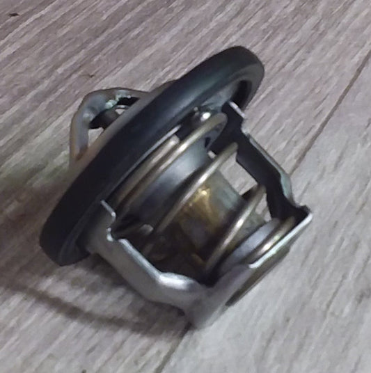 Yamaha YFM660R Raptor Thermostat