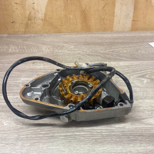 Suzuki DR200 Stator & Side cover