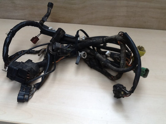 2007 Suzuki LTF400 Eiger Wiring Loom