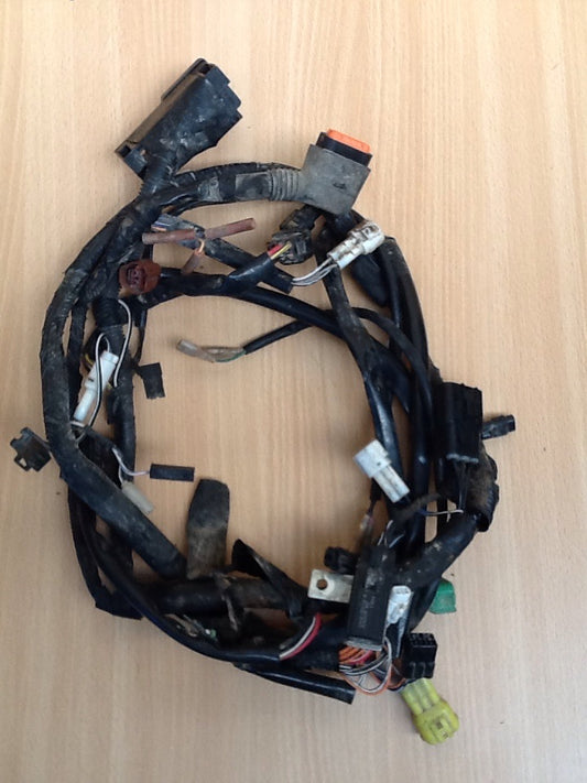 2009 Suzuki LTF400 Kingquad Wiring Loom